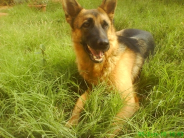 ����� ��� ����������