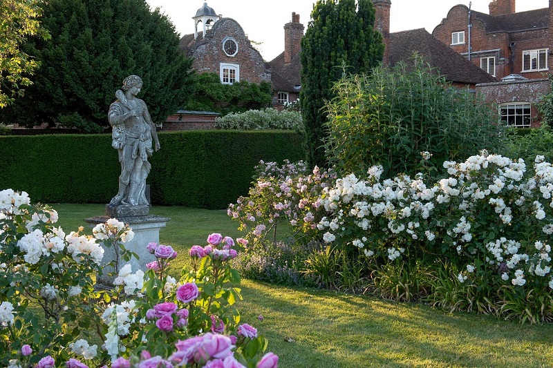 ������ ����� ������� / ������� ���� ��������