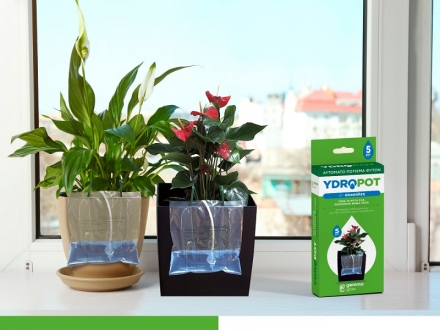 $products->record['market_title']