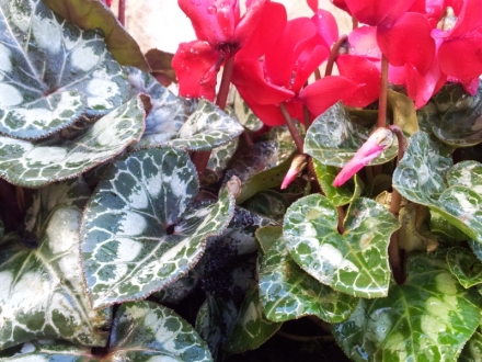 10 �������� ��� ������ �� ������ ���� ���� ���������