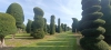       SOLITAIR