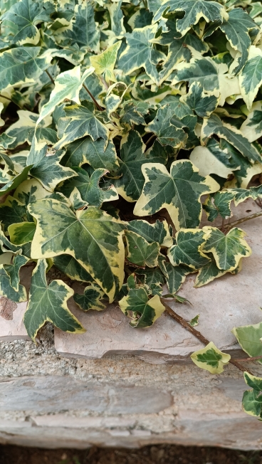 ��������� �� ��������� ��� ��������� ������