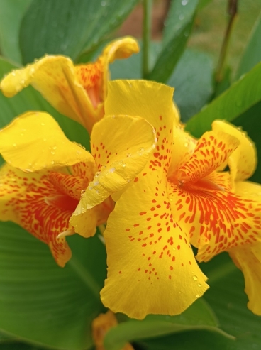 10 �������� ��������� ��� ������� ���� �������� ���� ���� �� 2026