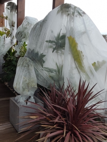 ��� �� ������������� �� ���� ��� ��� ��� ������