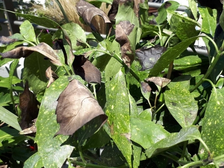 ����� ����������� �� ���� ���; 11 ������ ����� ��� ��� �� �� ������