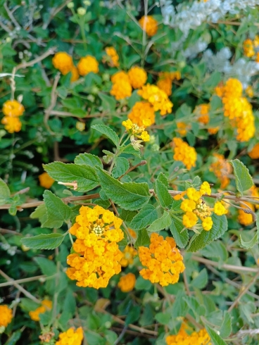 � ������� 60-30-10: �� ���� ������� �������� ��� ������������ ��� ���� ���