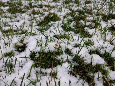 ���� ������ �� ���������� �� ������� ��� ������ ���� ��� �������