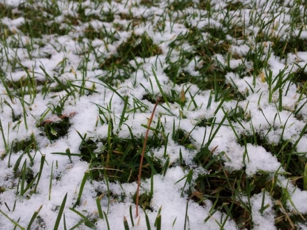 ���� ������ �� ���������� �� ������� ��� ������ ���� ��� �������