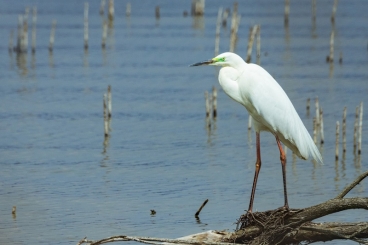 2 ����������� – ��������� ����� ���������