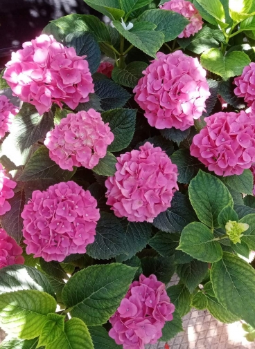 ������� ��� ����������: 9 ���� ��� ���������� �����������