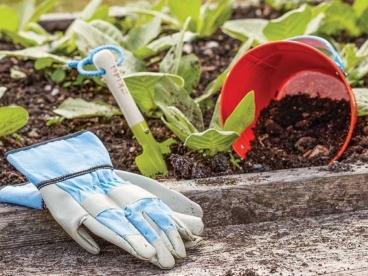 ����-���� ���������� ����� ������� �� �����������