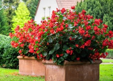 7 ������������ ��������� ���������� ��� ����������� ��� ����� ��� ��� ����