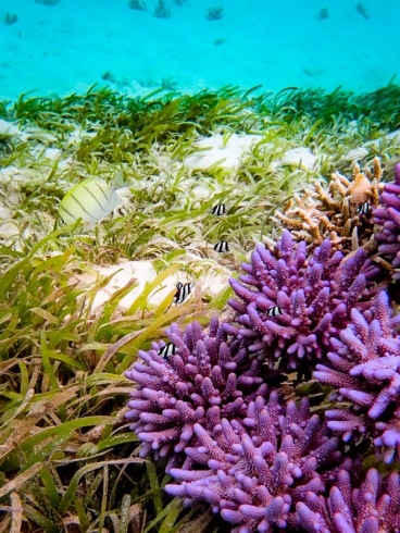 1 ������� ��������� ����� ��������� ��������