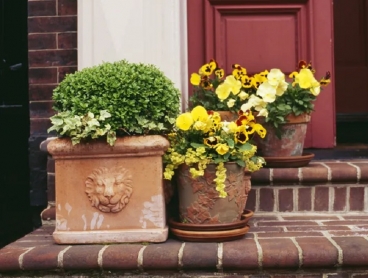 �� VINTAGE �������� ���� ���� ��� �������� ���� ����