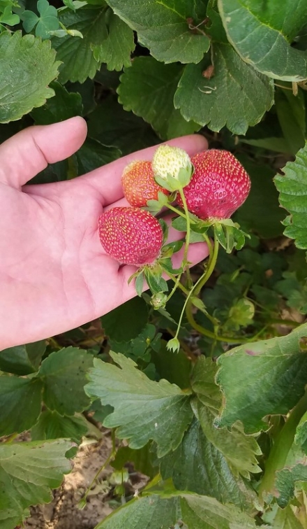 ���� �� �����: �� ������ ������� ��� ���� ���������� ����������