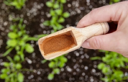 ����������� �� ��������� ���; ������ � ������ �� �� �����;