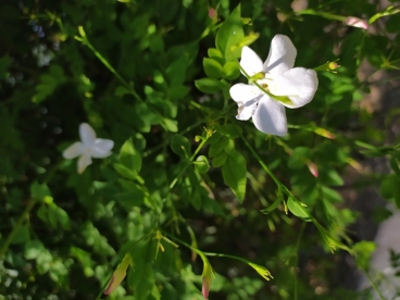 �� ������������ ��� �������� �� ����� ��� ������� ��� ���� �� ����� ��� �� ���������